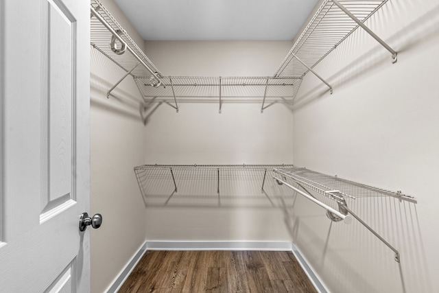 walk in closet featuring dark wood-type flooring