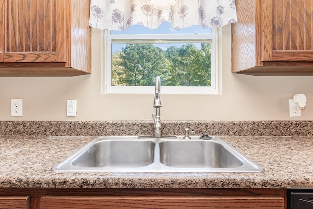 interior details featuring sink