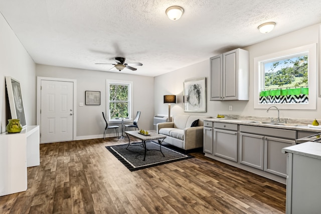 kitchen with gray cabinetry, sink, ceiling fan, and a wealth of natural light