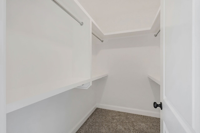 walk in closet with carpet flooring