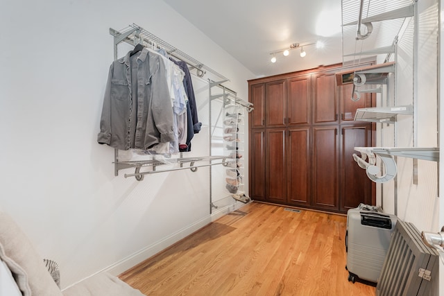 spacious closet with light hardwood / wood-style floors