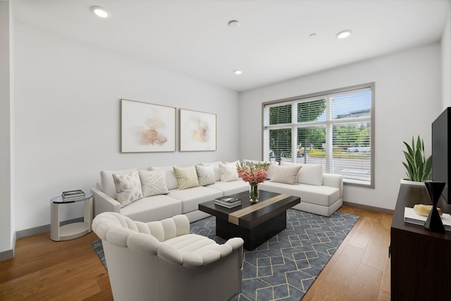 living room featuring dark hardwood / wood-style flooring