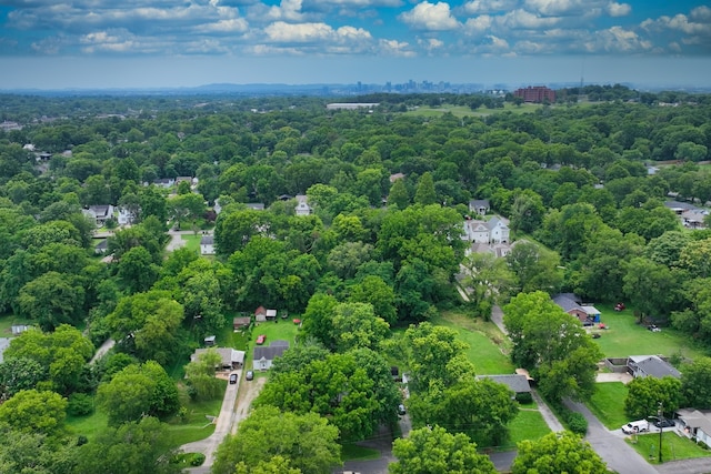 bird's eye view