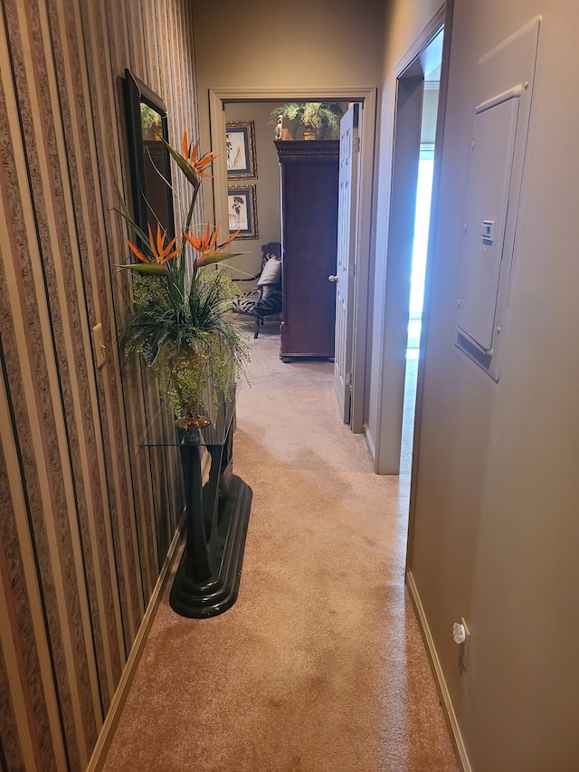 corridor featuring light colored carpet and electric panel