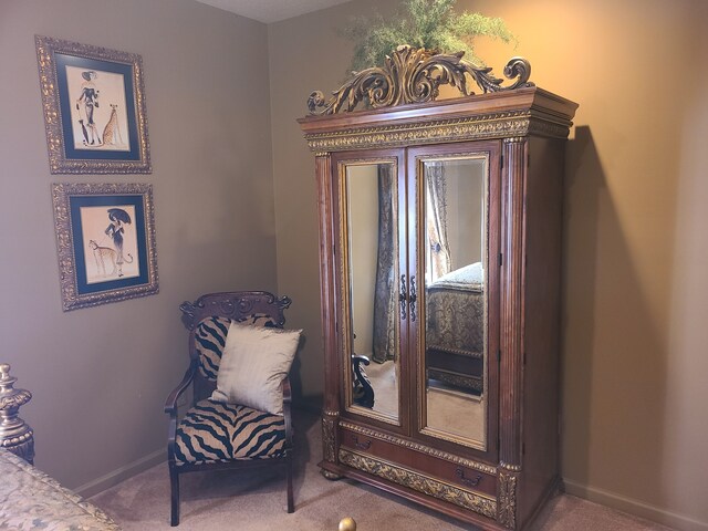 sitting room featuring carpet flooring