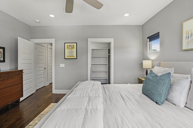 bedroom with a spacious closet, a closet, ceiling fan, and dark hardwood / wood-style floors