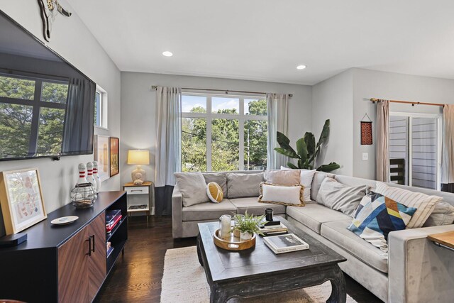 living room featuring dark hardwood / wood-style flooring