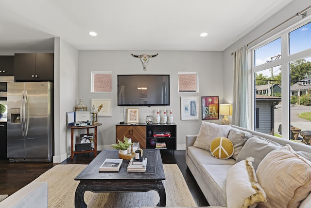 living room with dark hardwood / wood-style flooring