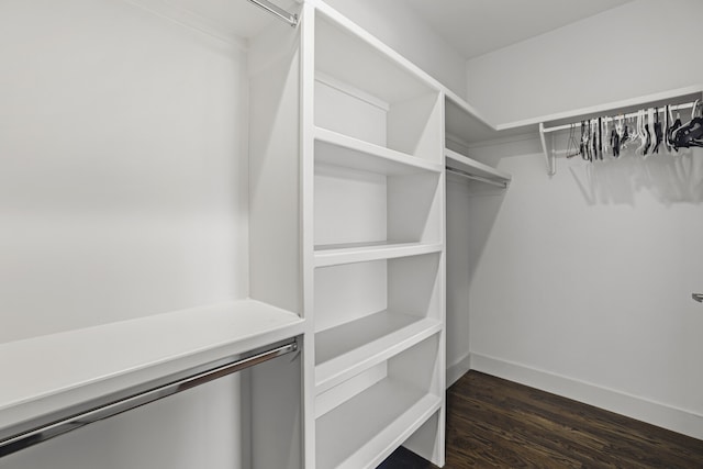 spacious closet with dark hardwood / wood-style flooring