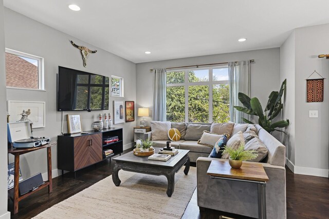 living room featuring dark hardwood / wood-style flooring