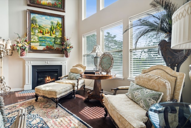 living area featuring hardwood / wood-style floors