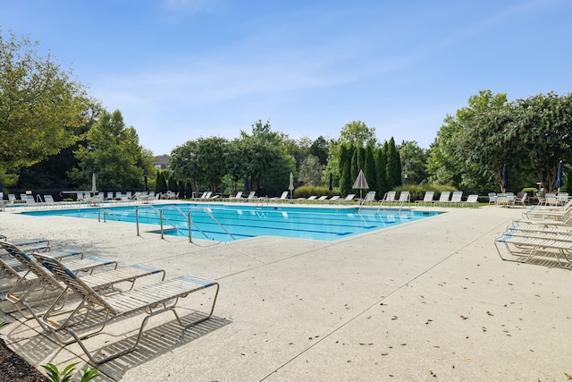 view of pool with a patio area