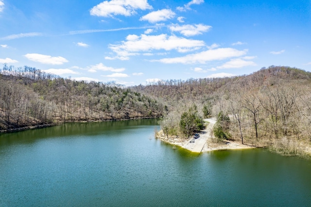 Listing photo 2 for 0 Wildwood Dr, Smithville TN 37166