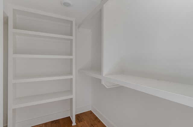 walk in closet with dark hardwood / wood-style flooring