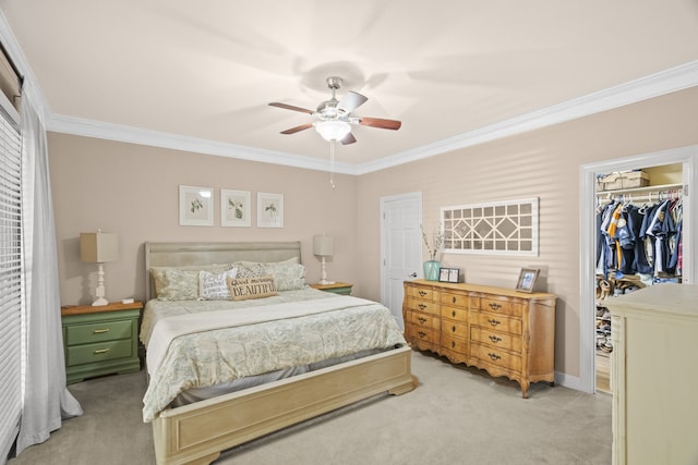 carpeted bedroom featuring ornamental molding, ceiling fan, a walk in closet, and a closet