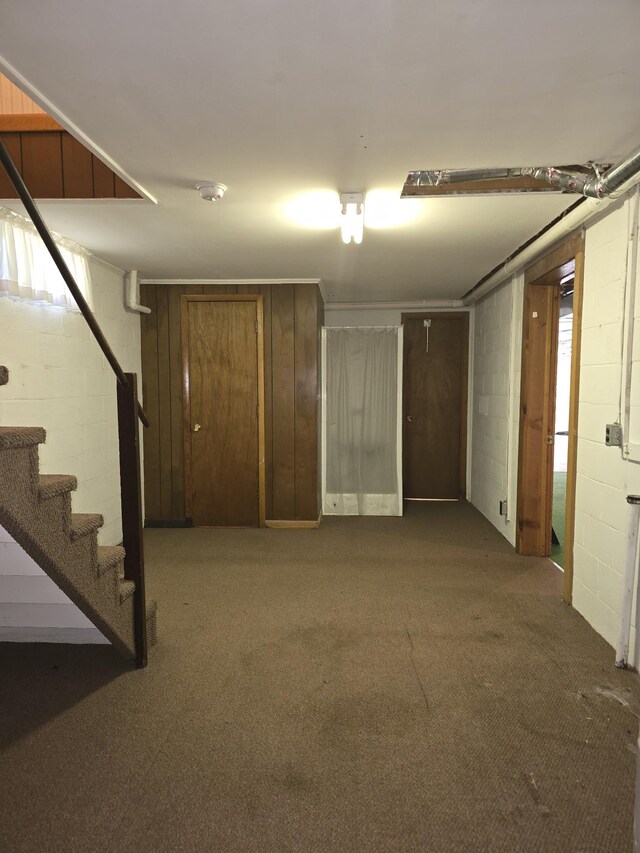 basement with carpet flooring