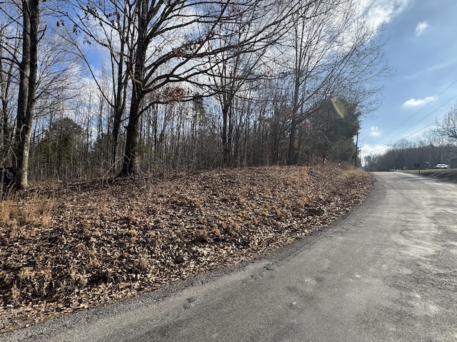 0 Crestview Dr, Bumpus Mills TN, 37028 land for sale