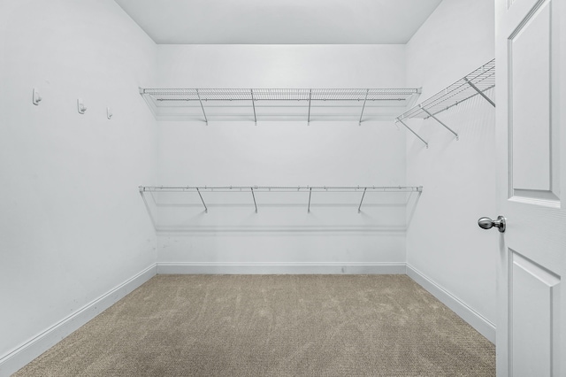 spacious closet with light colored carpet