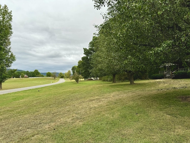 view of property's community with a yard