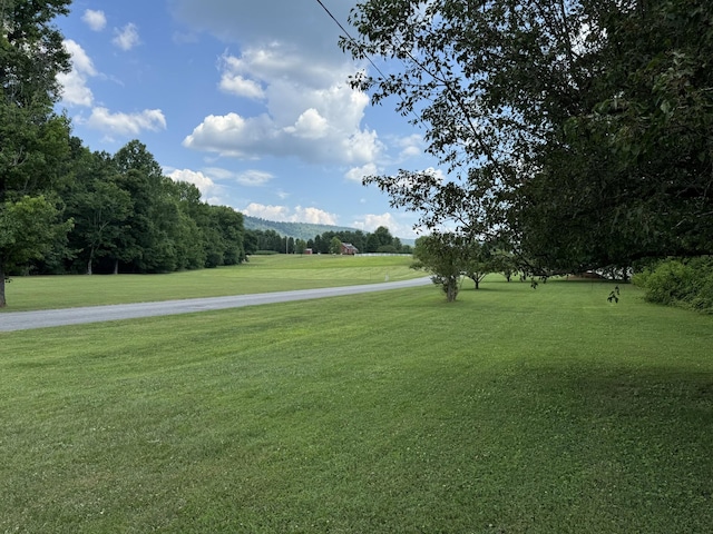 view of community with a lawn