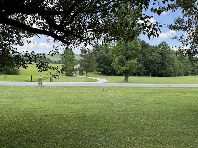 view of home's community featuring a lawn