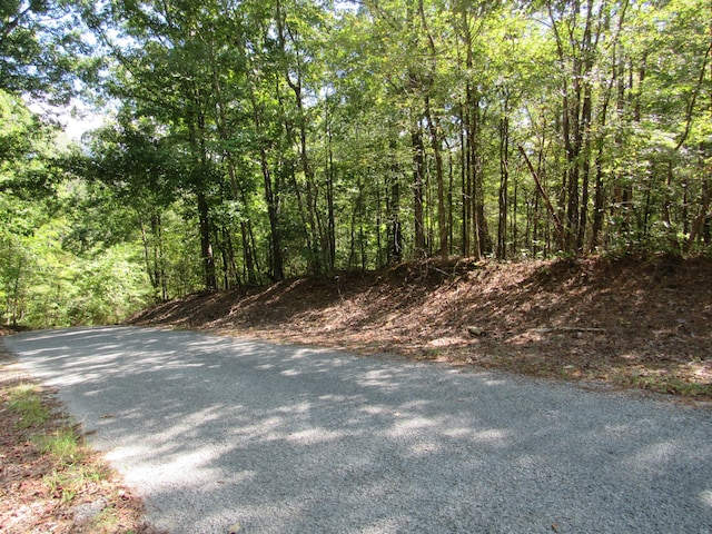 Listing photo 3 for 2 Birdsong Rd, Camden TN 38320