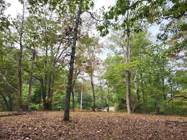 3 Birdsong Rd, Camden TN, 38320 land for sale