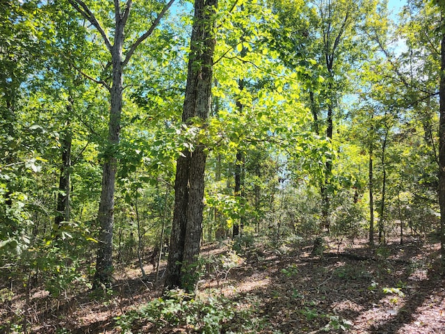 Listing photo 3 for 4 Birdsong Rd, Camden TN 38320