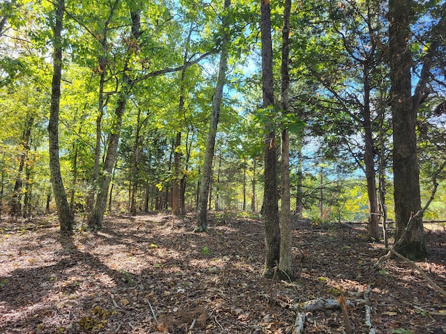 4 Birdsong Rd, Camden TN, 38320 land for sale