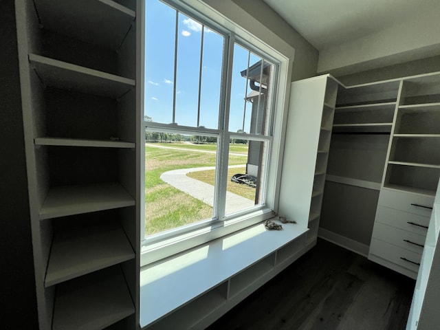 interior space with dark wood-type flooring