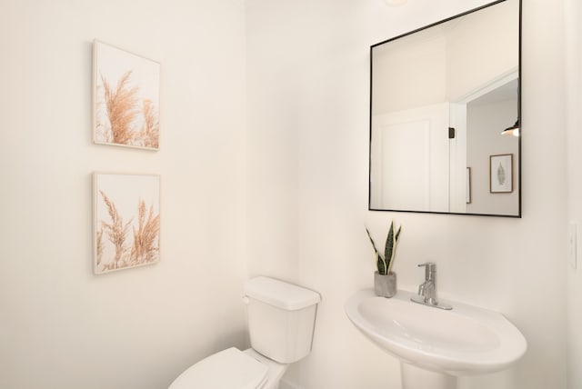 bathroom featuring sink and toilet