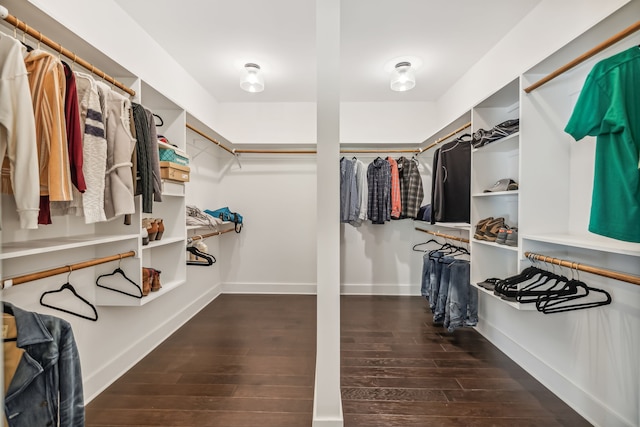 spacious closet with dark wood-type flooring