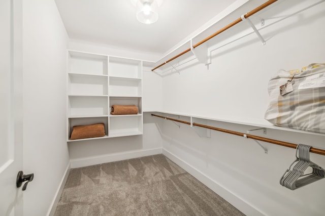 spacious closet with light carpet