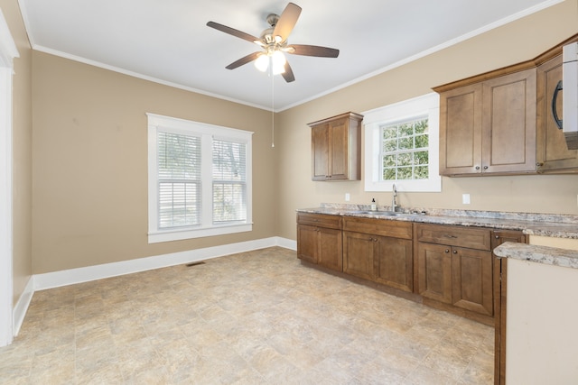 kitchen featuring crown molding, sink, and ceiling fan