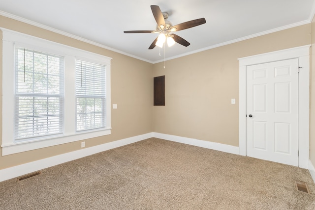 carpeted spare room with ceiling fan and ornamental molding