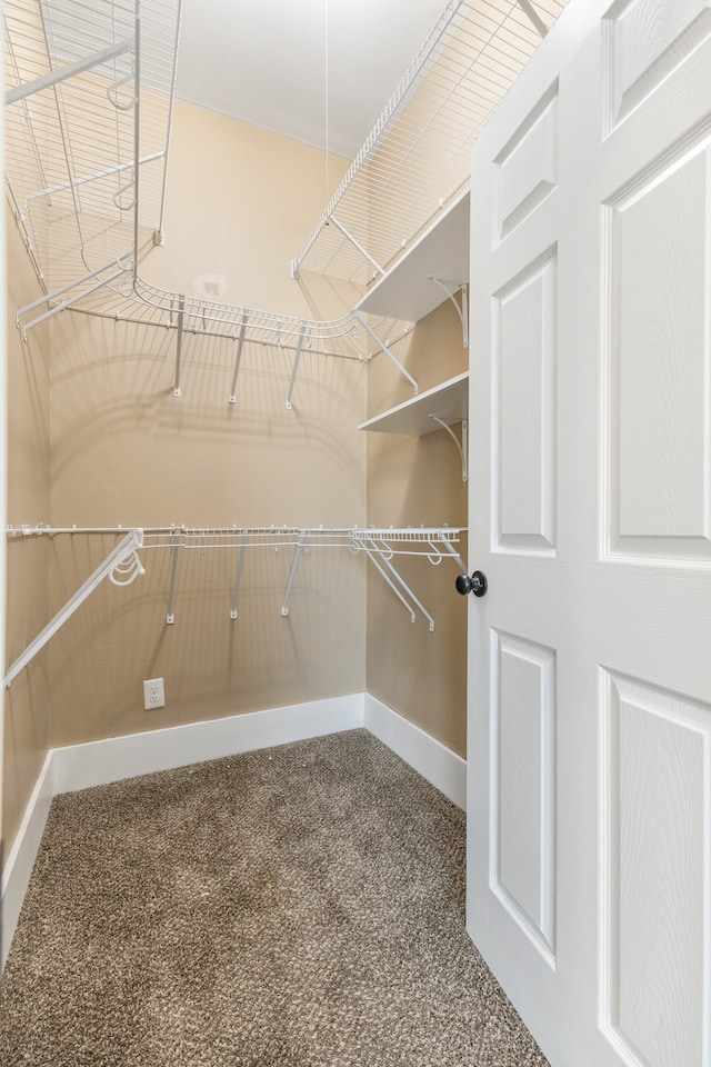 walk in closet featuring carpet floors