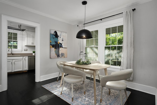 dining area with sink, crown molding, and dark hardwood / wood-style floors