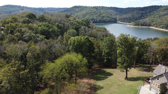 301 Highbridge Dr, Smithville, TN 37166 - photo 2