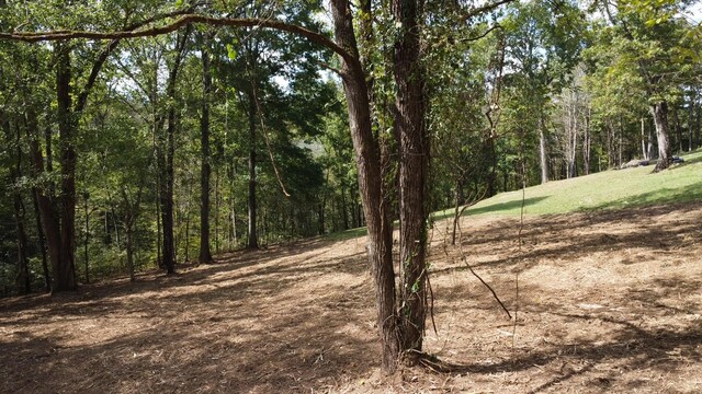 301 Highbridge Dr, Smithville, TN 37166 - photo 3