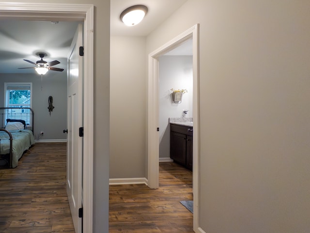 hall featuring dark hardwood / wood-style floors