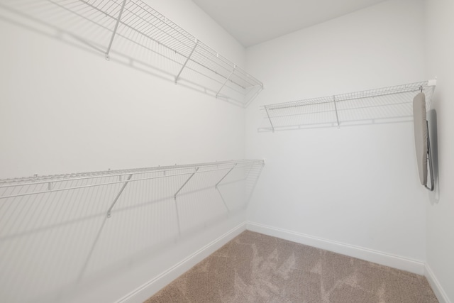 spacious closet featuring carpet floors