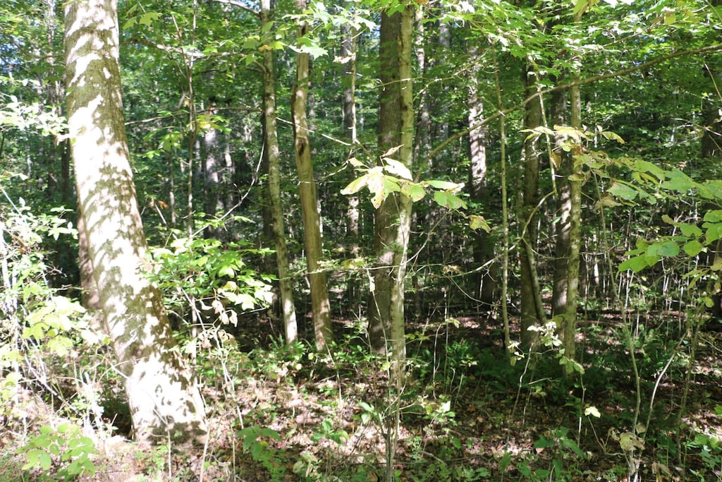 166 Hermitage Cir, Bumpus Mills, TN 37028 - photo 2