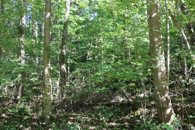 167 Hermitage Cir, Bumpus Mills, TN 37028 - photo 2