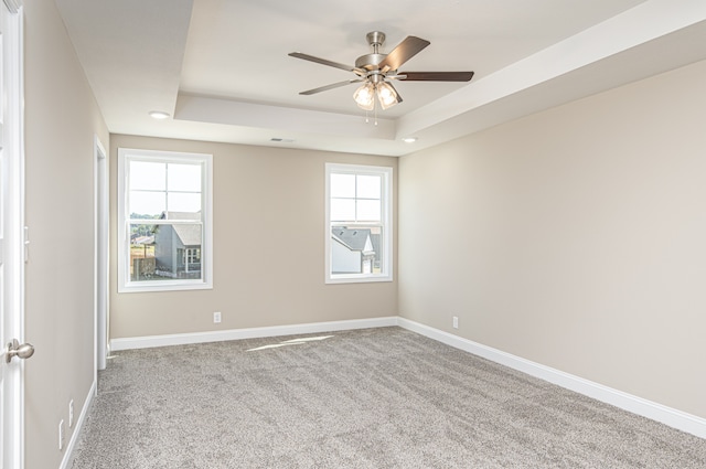 spare room featuring a wealth of natural light, a raised ceiling, and carpet