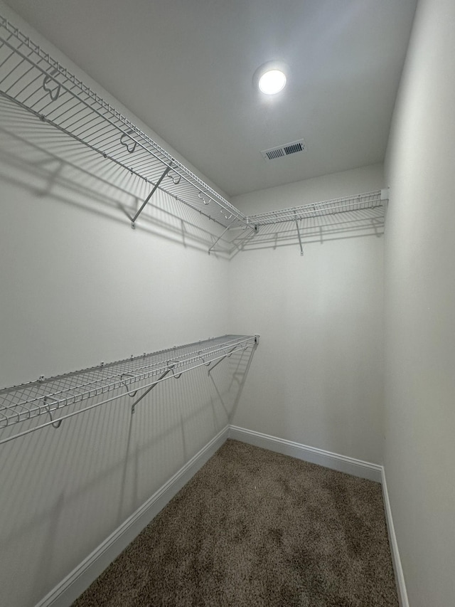 spacious closet with carpet floors