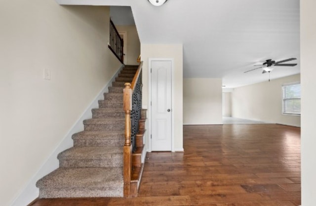 stairs featuring hardwood / wood-style floors and ceiling fan