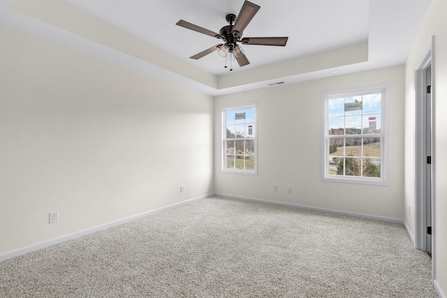 unfurnished room featuring a tray ceiling, light carpet, and plenty of natural light