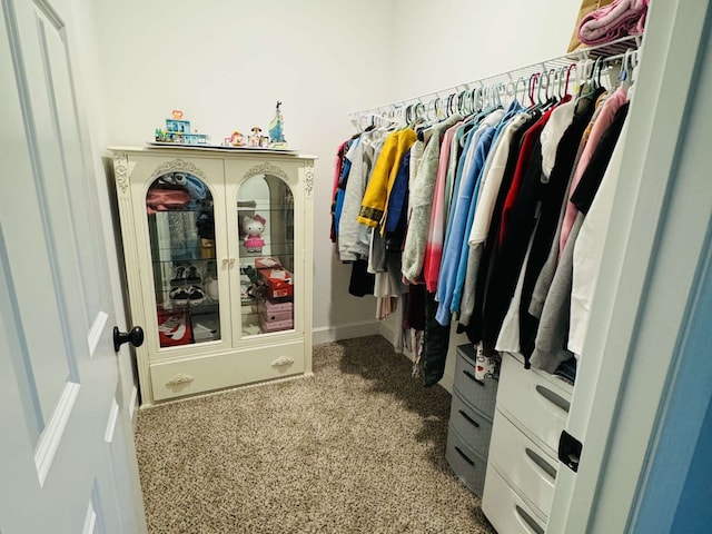 spacious closet featuring carpet flooring