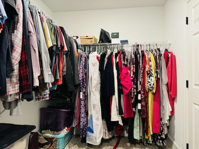 spacious closet with carpet