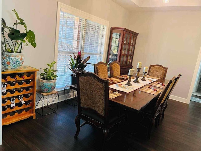 dining area with dark hardwood / wood-style flooring